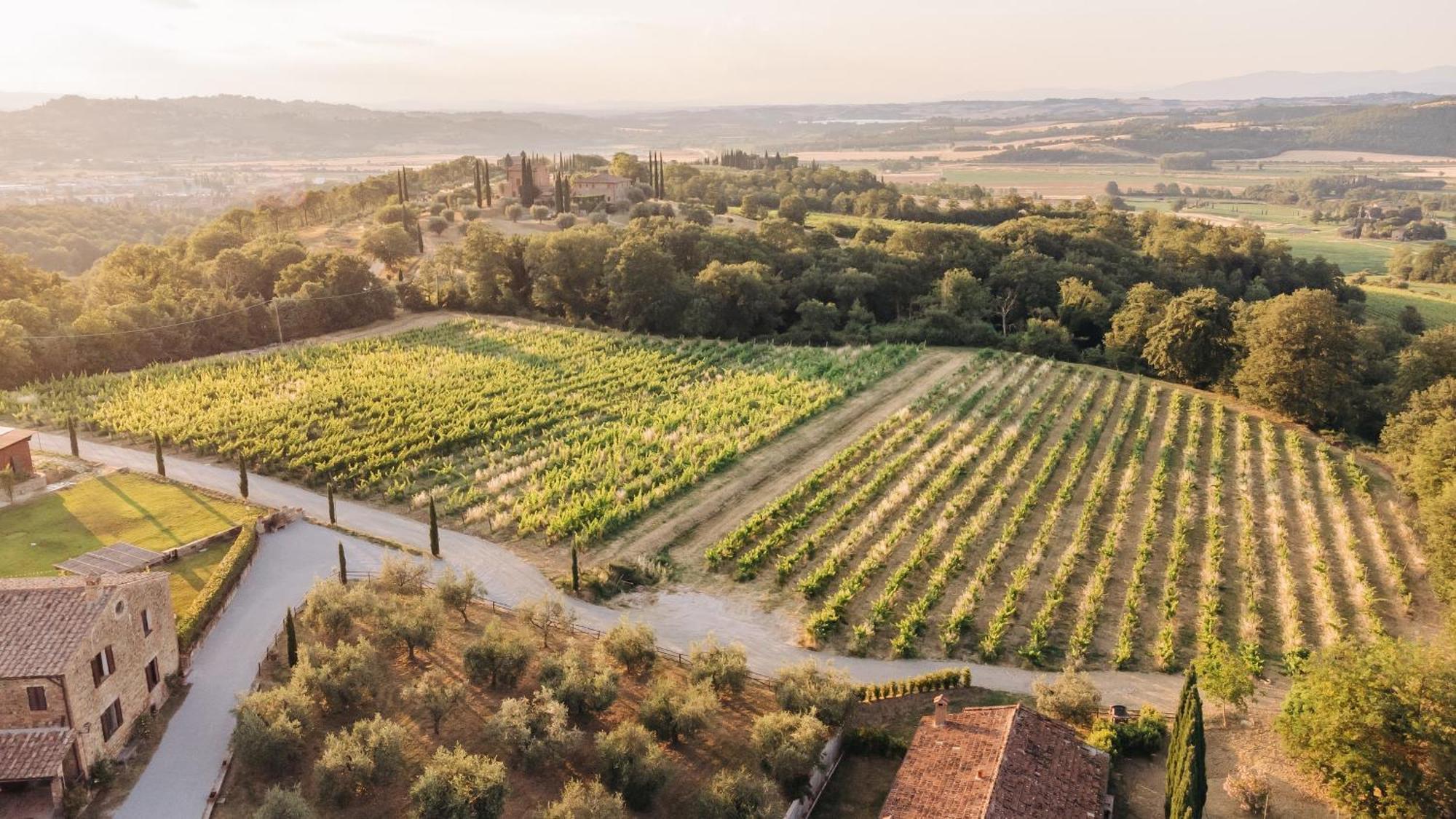 Вилла Borgo Siliano - Antico Podere Siliano Читта-делла-Пьеве Экстерьер фото